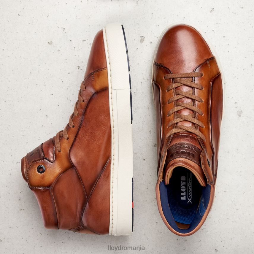 pantofi LLOYD mareșal maro bărbați 68260254