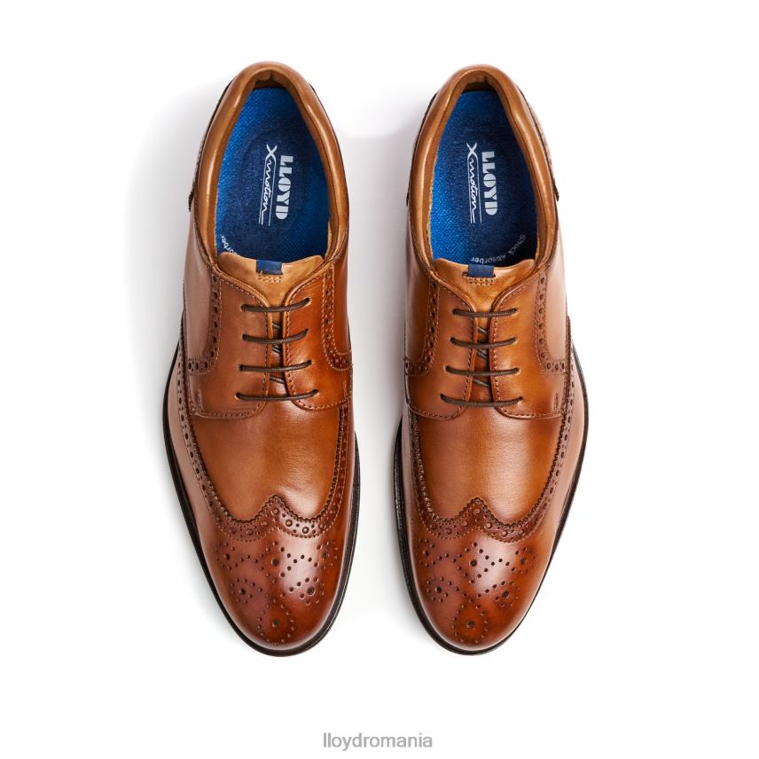 pantofi LLOYD marian maro bărbați 68260141