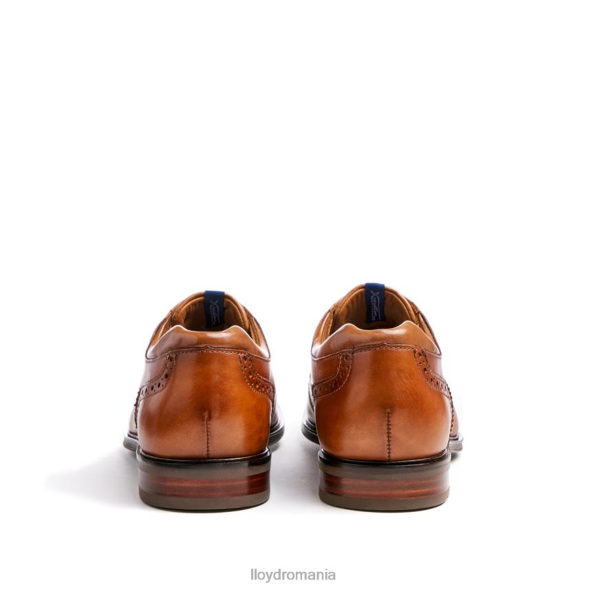 pantofi LLOYD marian maro bărbați 68260141