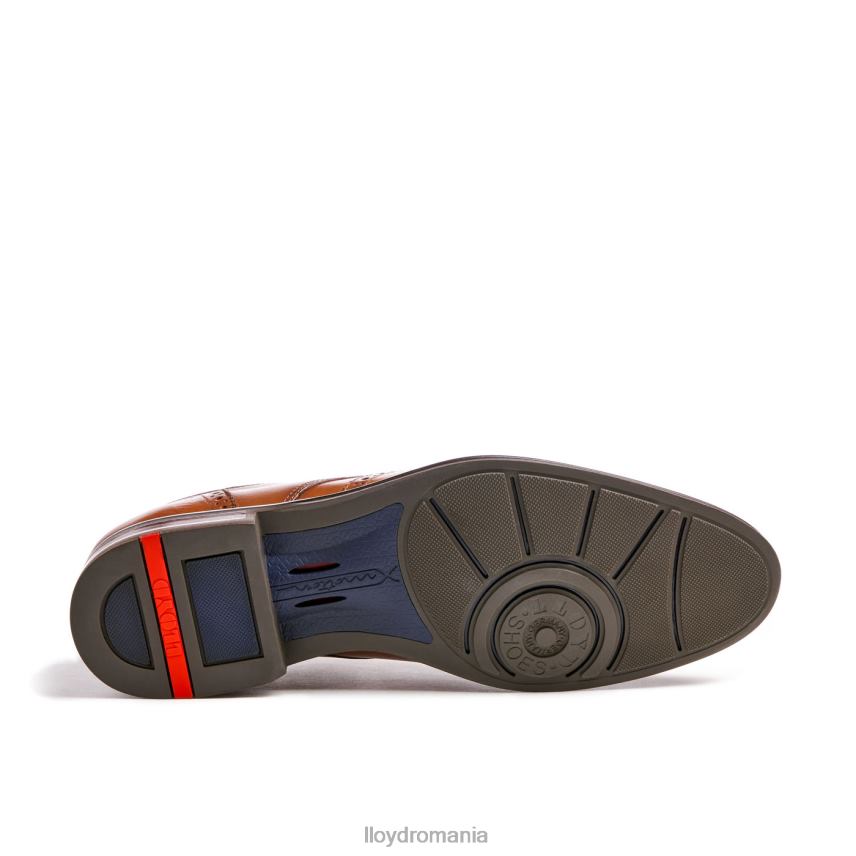 pantofi LLOYD marian maro bărbați 68260141