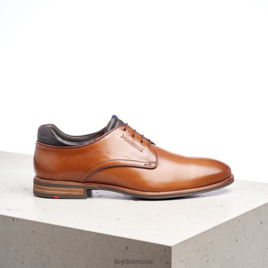 pantofi LLOYD maxim maro bărbați 68260201
