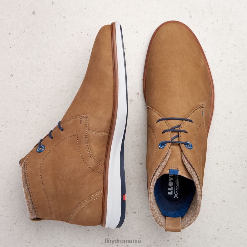 pantofi LLOYD maxwell maro bărbați 68260275