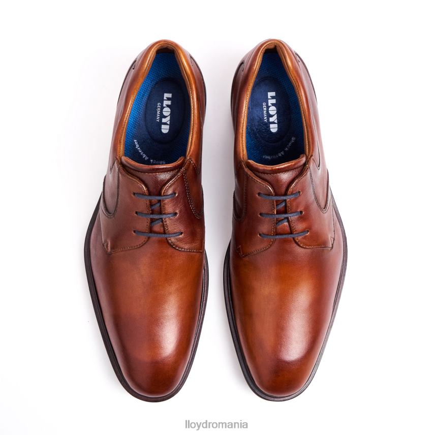 pantofi LLOYD monty maro bărbați 68260134