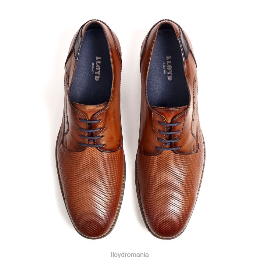 pantofi LLOYD namir maro bărbați 68260217