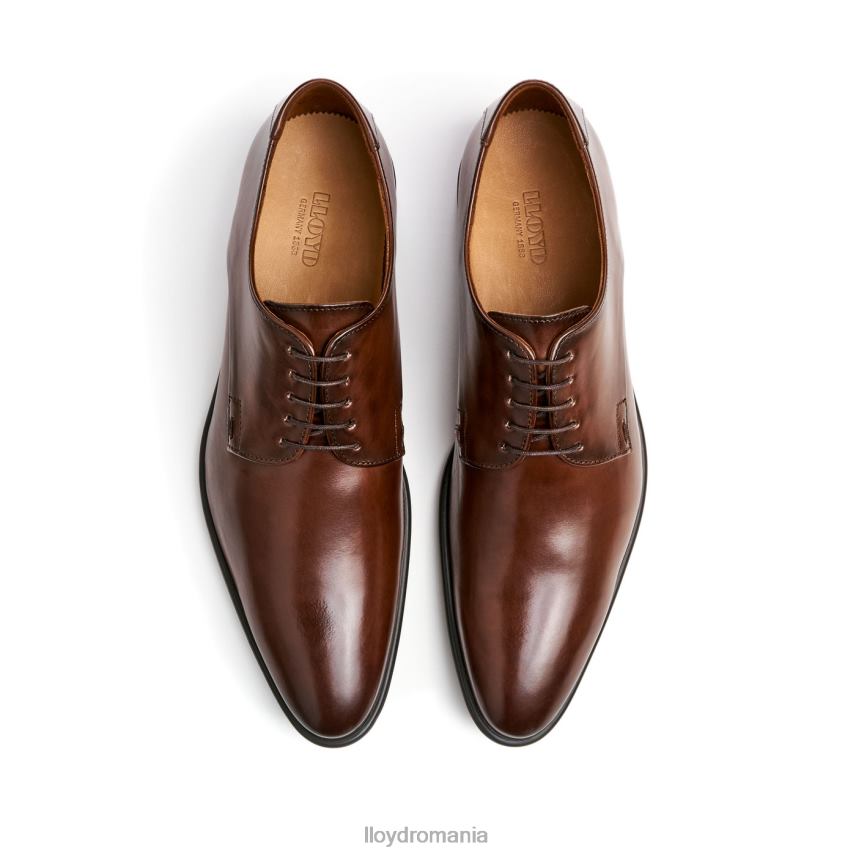 pantofi LLOYD nik maro bărbați 68260127