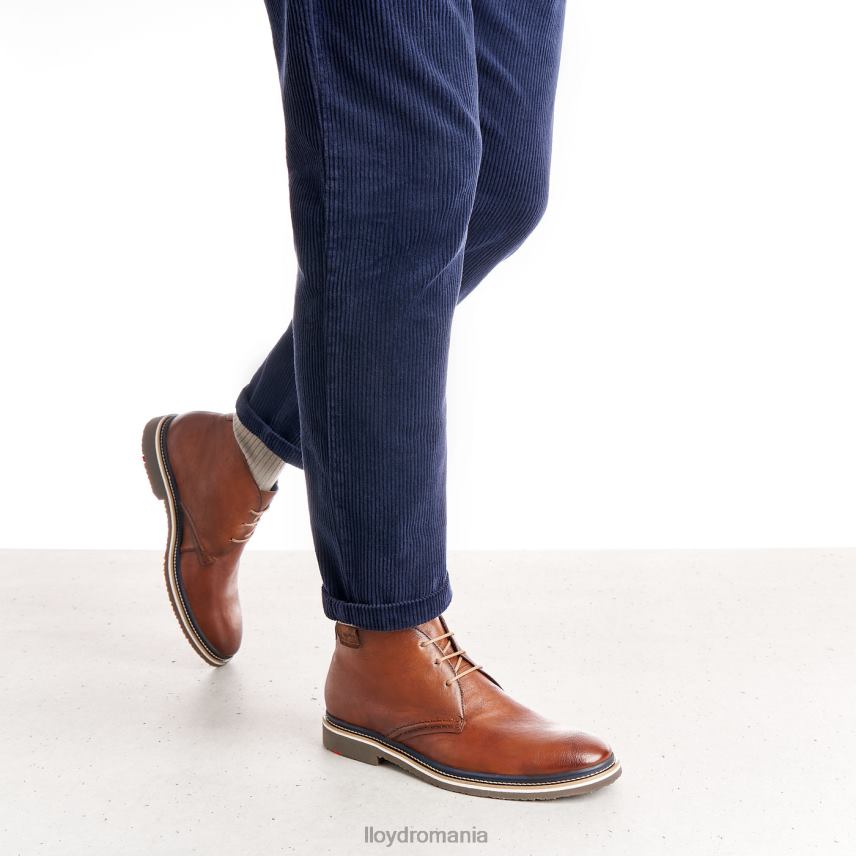 pantofi LLOYD norko maro bărbați 68260554