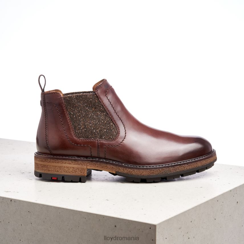 pantofi LLOYD odem maro bărbați 68260532