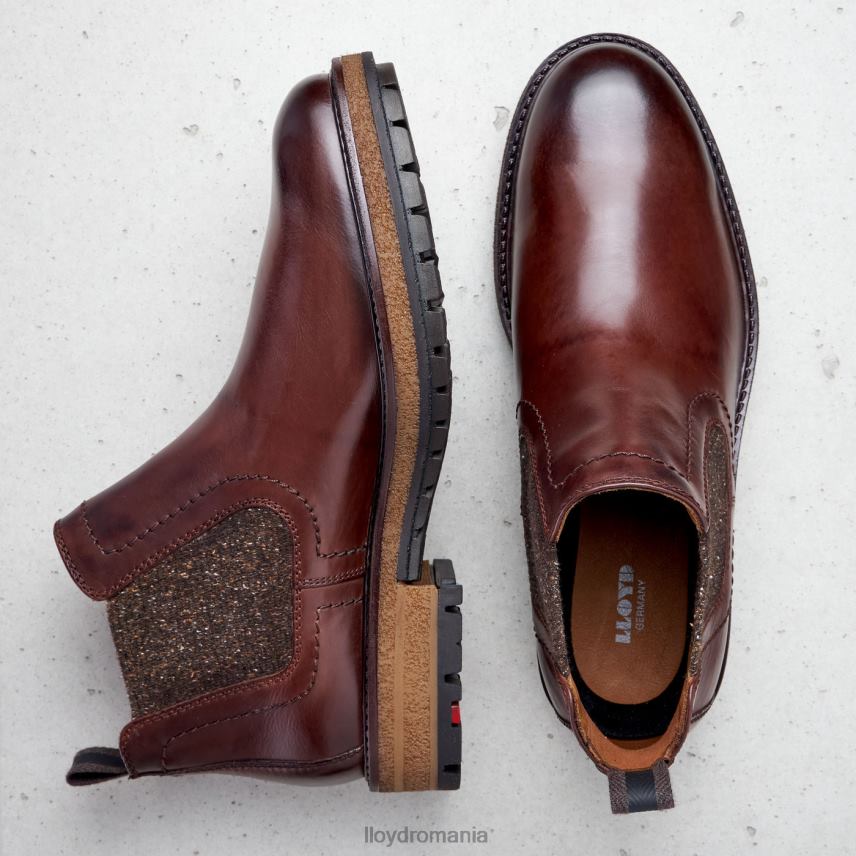 pantofi LLOYD odem maro bărbați 68260532