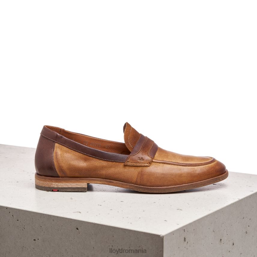 pantofi LLOYD oktant maro bărbați 68260604