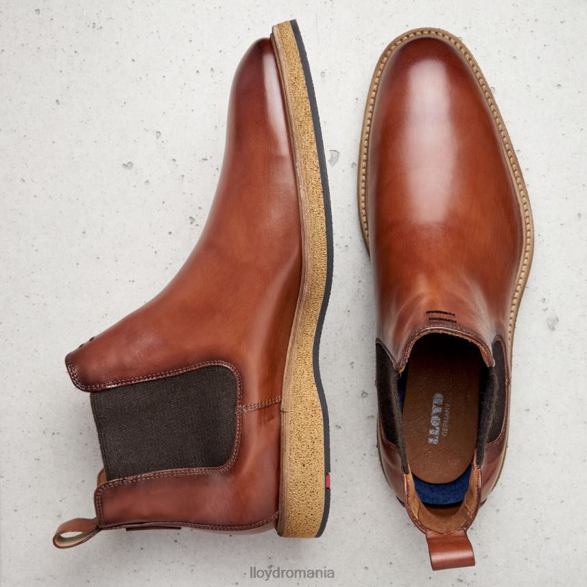 pantofi LLOYD oris maro bărbați 68260558