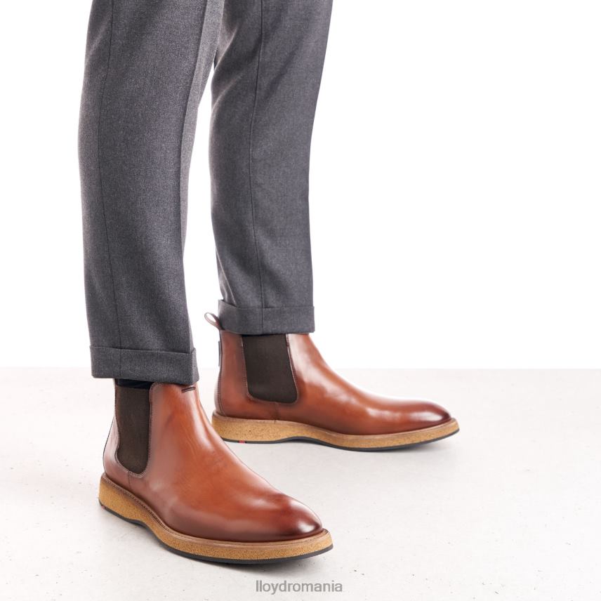 pantofi LLOYD oris maro bărbați 68260558