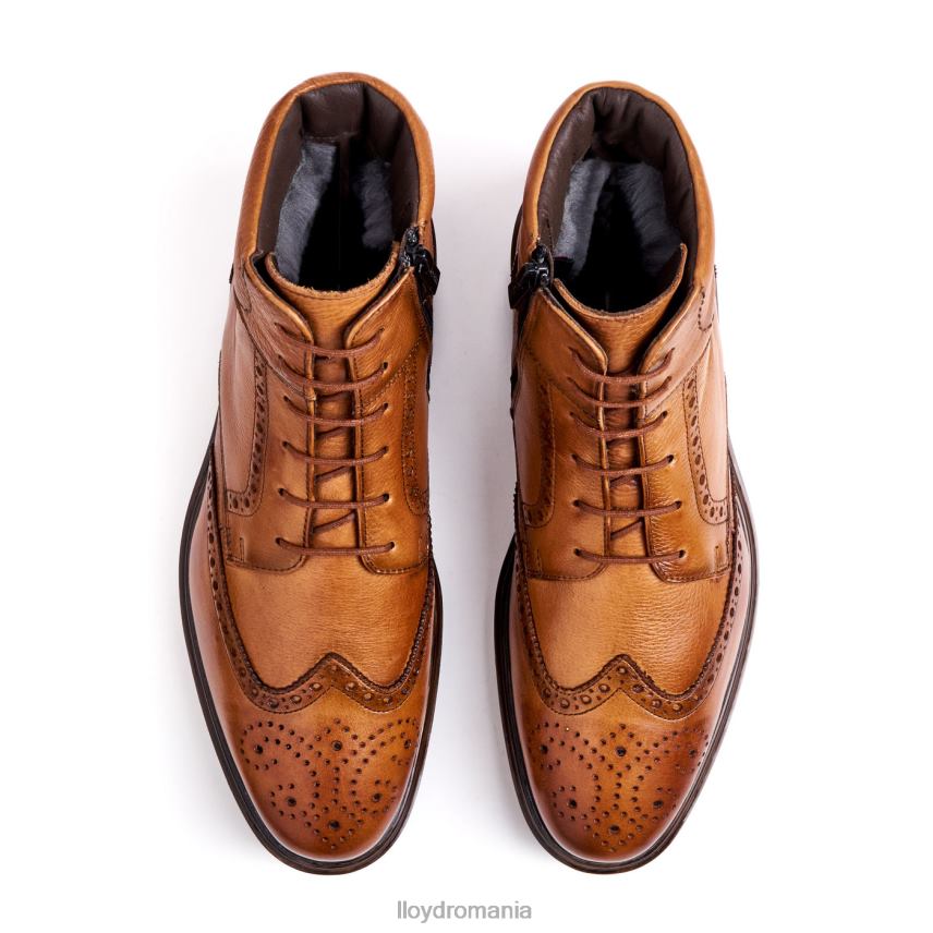 pantofi LLOYD osko maro bărbați 68260502