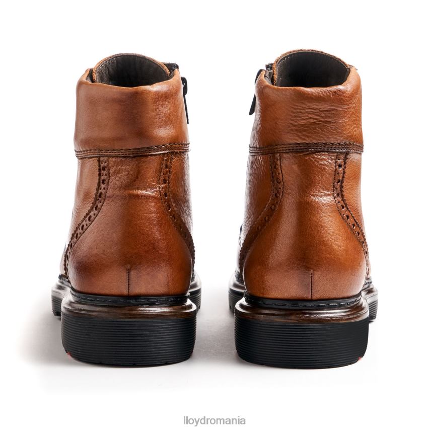 pantofi LLOYD osko maro bărbați 68260502