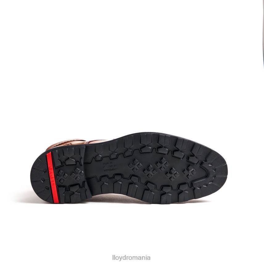 pantofi LLOYD osko maro bărbați 68260502