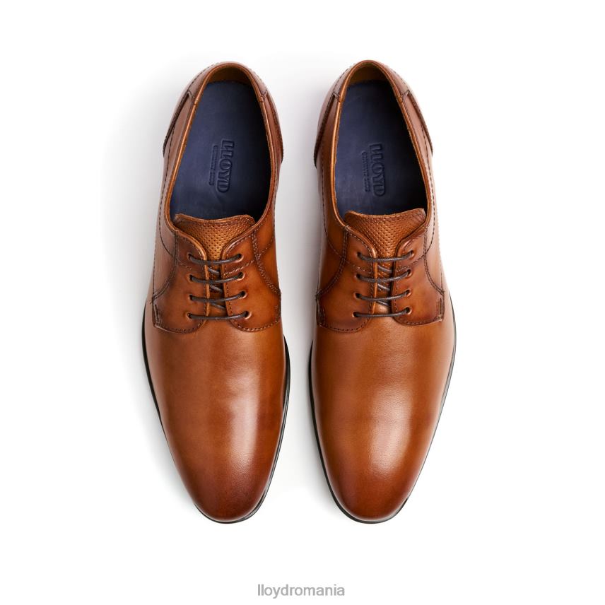 pantofi LLOYD osmond maro bărbați 6826084