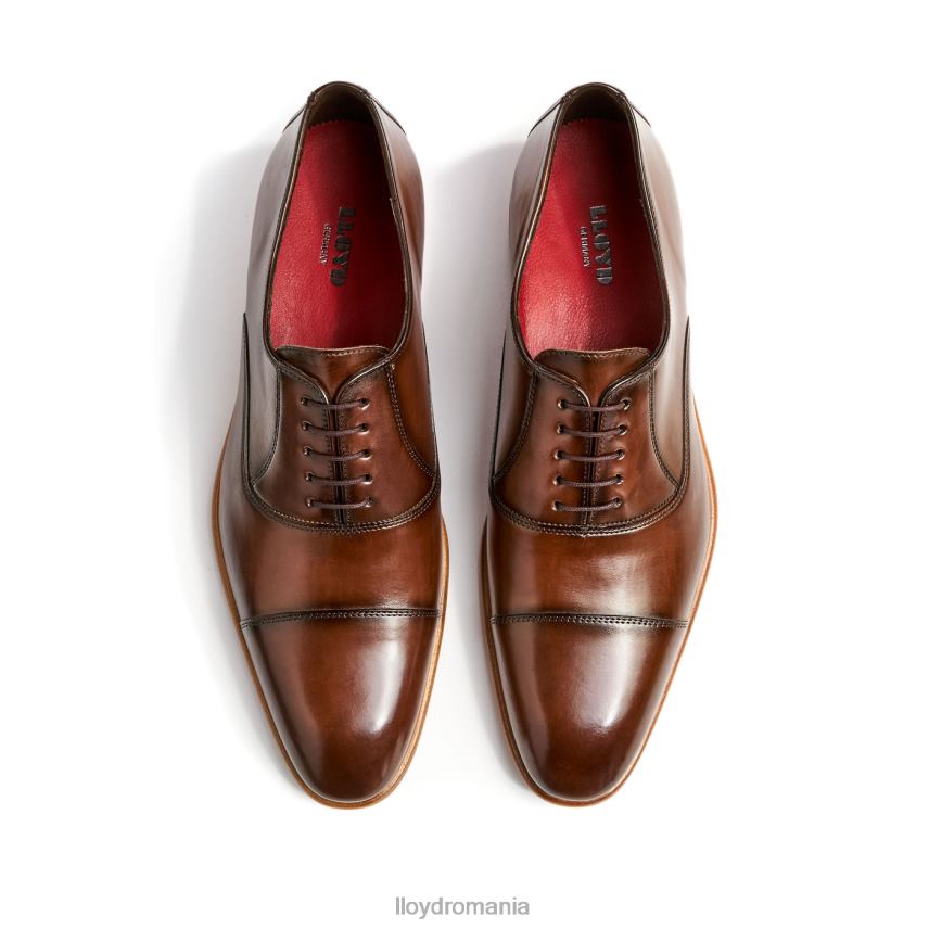 pantofi LLOYD parcas maro bărbați 68260156