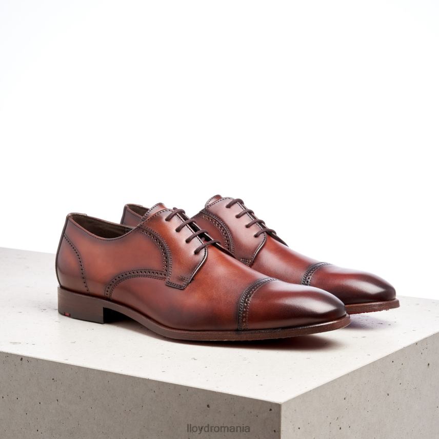 pantofi LLOYD pere maro bărbați 68260177