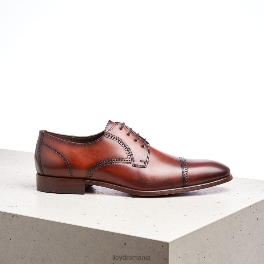 pantofi LLOYD pere maro bărbați 68260177