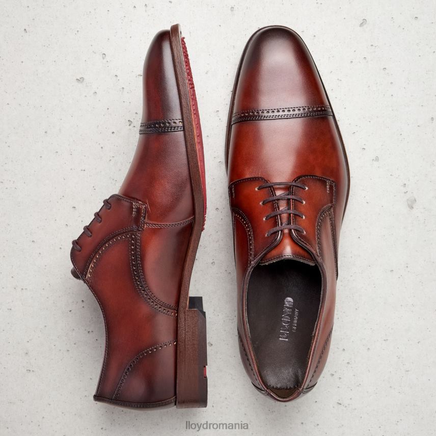 pantofi LLOYD pere maro bărbați 68260177