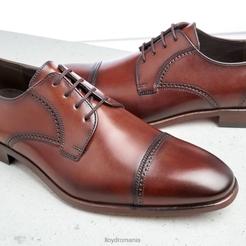 pantofi LLOYD pere maro bărbați 68260177