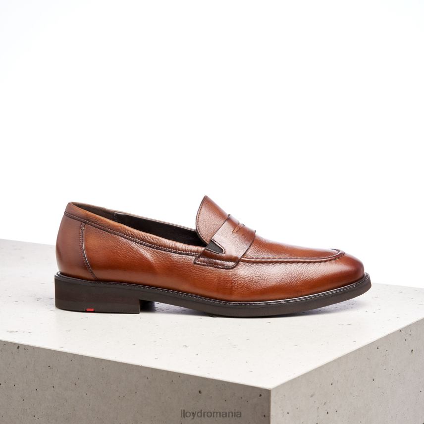 pantofi LLOYD reg maro bărbați 68260169