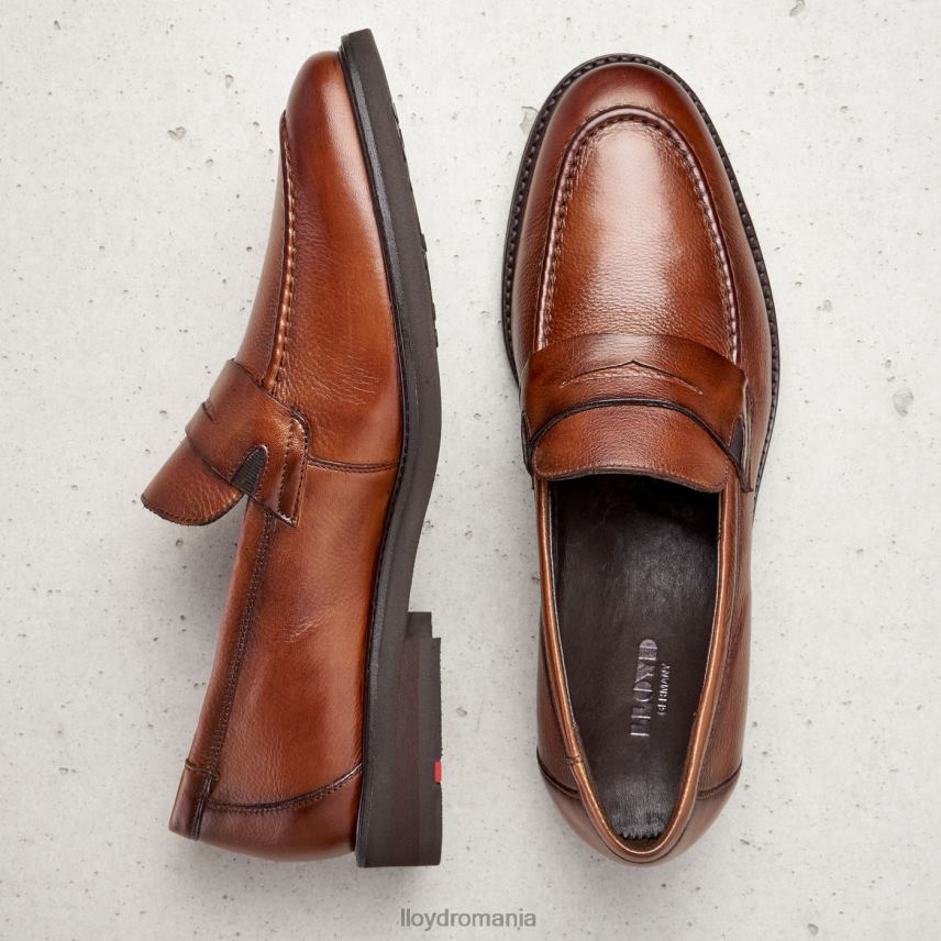 pantofi LLOYD reg maro bărbați 68260169