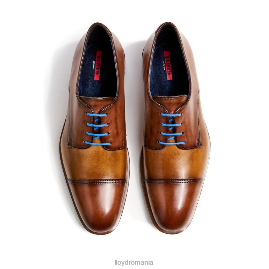 pantofi LLOYD rick maro bărbați 68260216