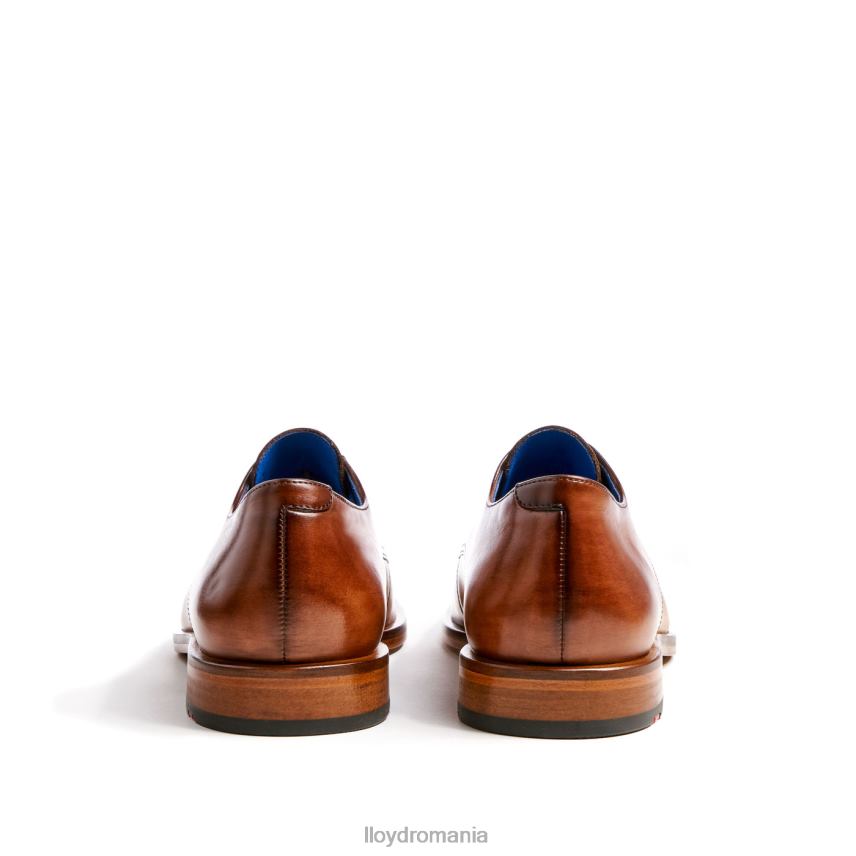 pantofi LLOYD rick maro bărbați 68260216