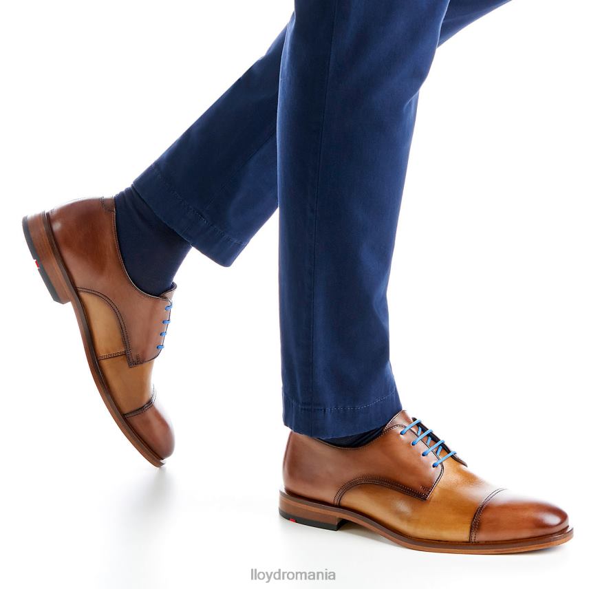 pantofi LLOYD rick maro bărbați 68260216