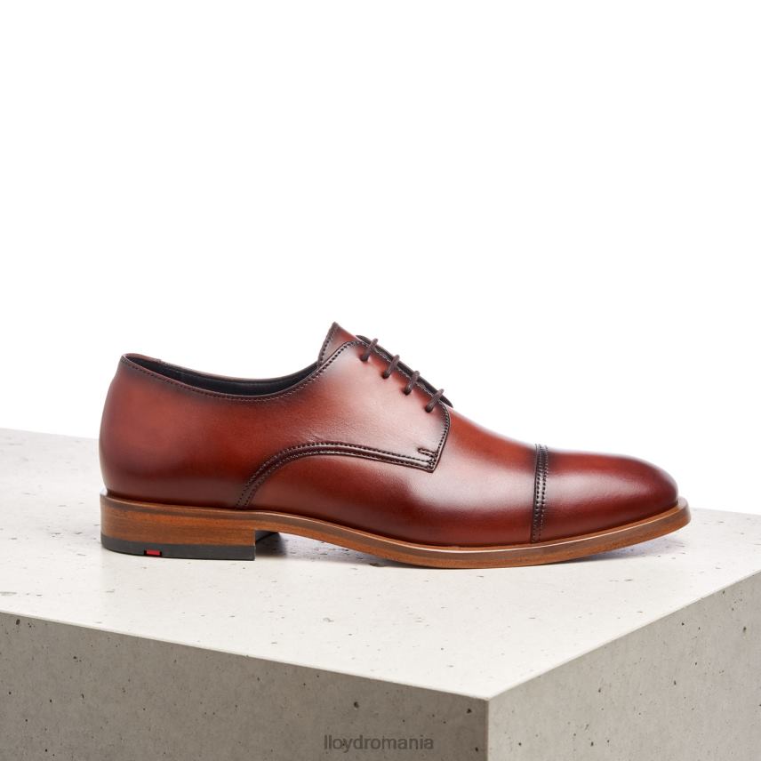 pantofi LLOYD rodney maro bărbați 68260195