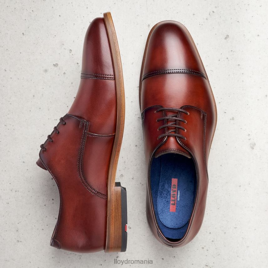 pantofi LLOYD rodney maro bărbați 68260195