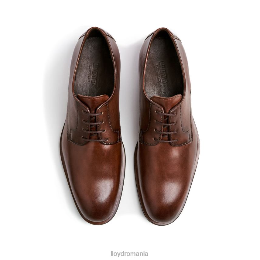 pantofi LLOYD sabie maro bărbați 682602