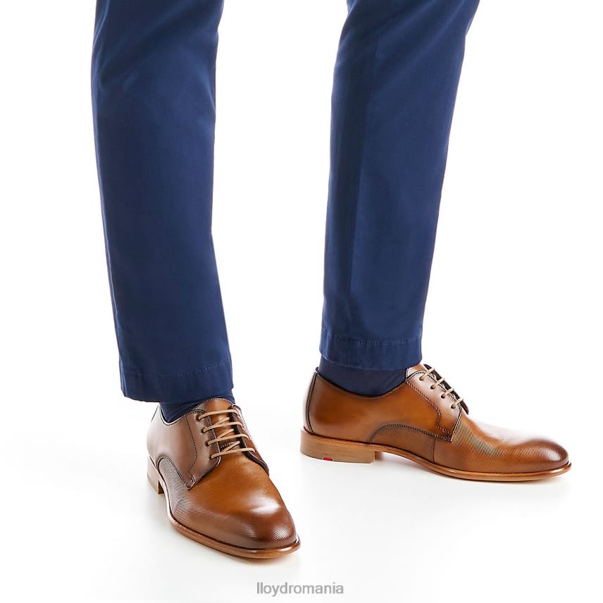 pantofi LLOYD saigon maro bărbați 68260158