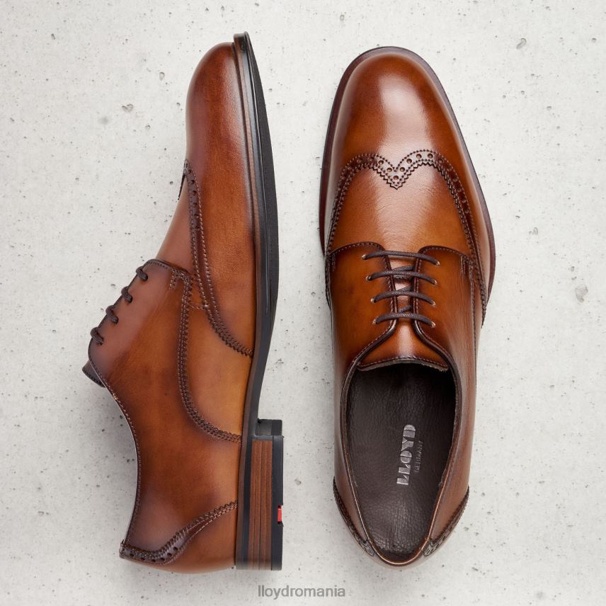 pantofi LLOYD samson maro bărbați 68260235