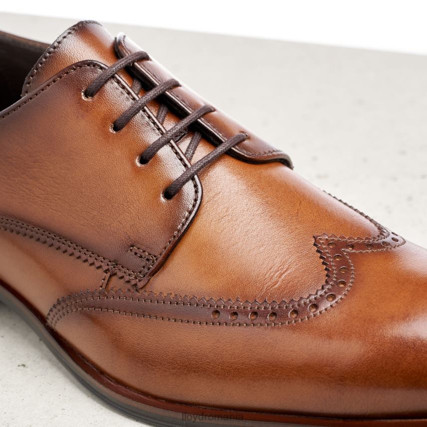 pantofi LLOYD samson maro bărbați 68260235