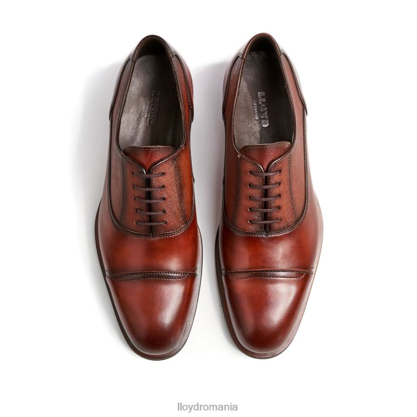 pantofi LLOYD santiago maro bărbați 68260238