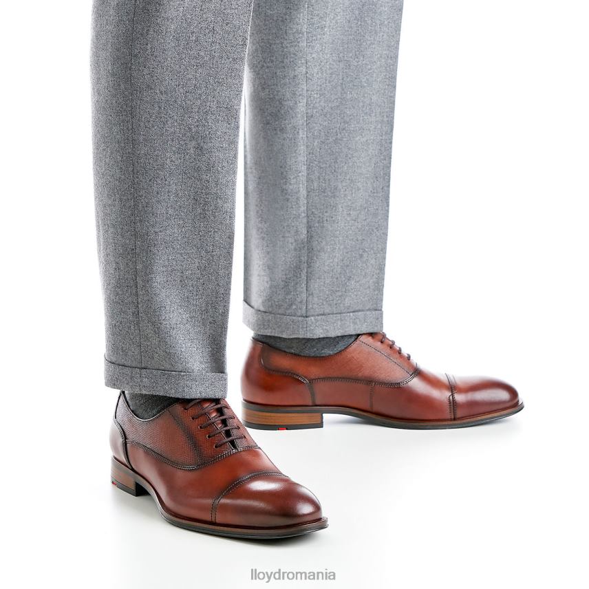 pantofi LLOYD santiago maro bărbați 68260238