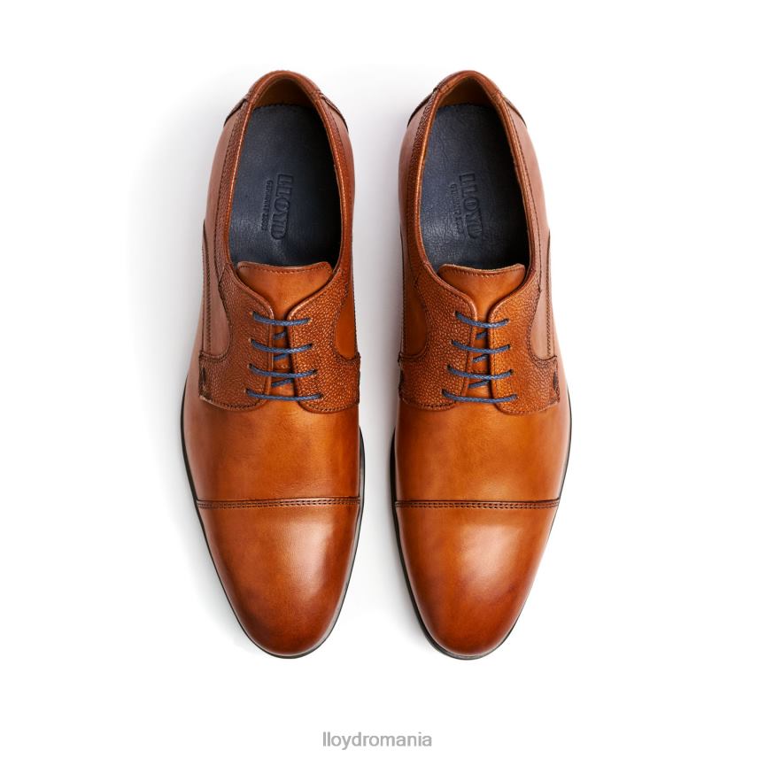 pantofi LLOYD sauwin maro bărbați 6826095