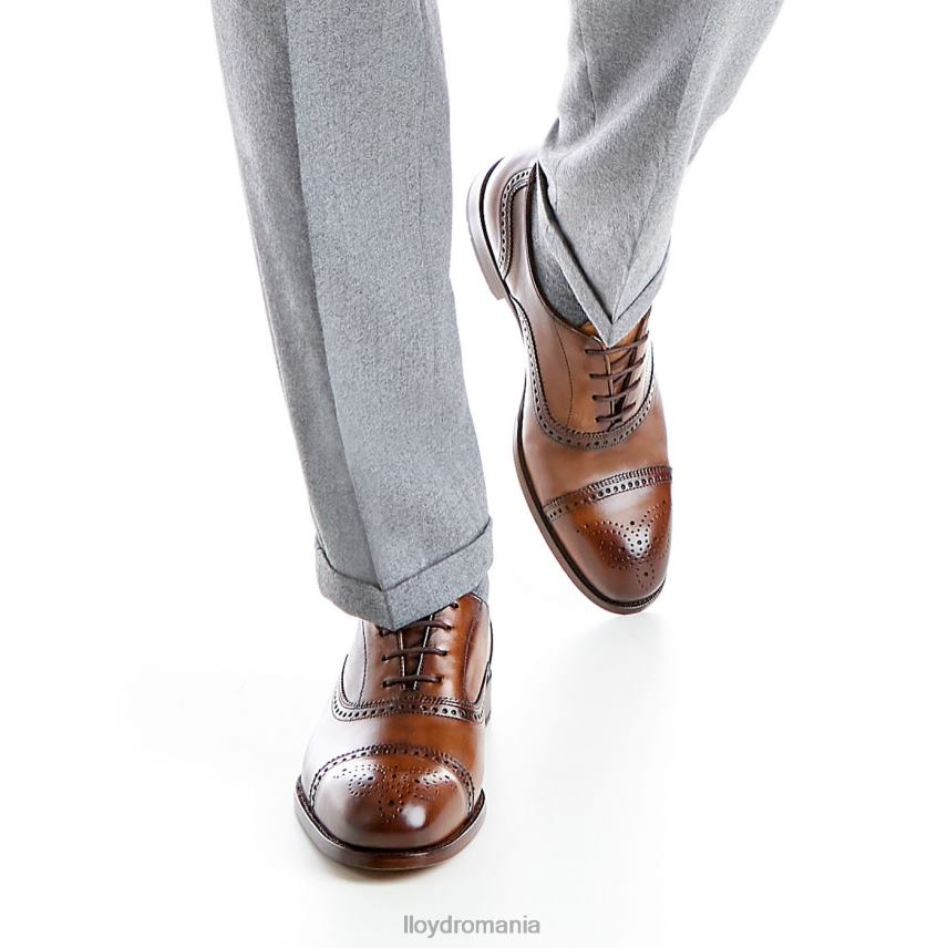 pantofi LLOYD sheffield maro bărbați 68260219