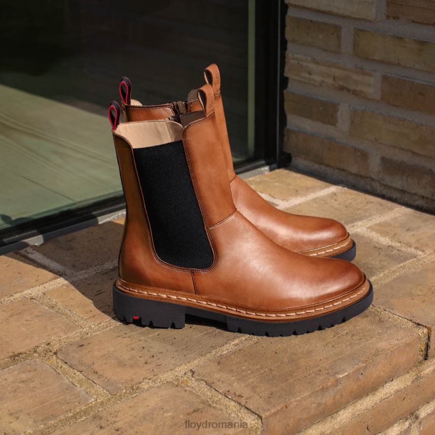 pantofi LLOYD stiefelette maro femei 68260963