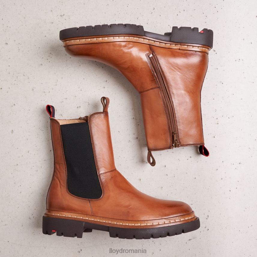 pantofi LLOYD stiefelette maro femei 68260963