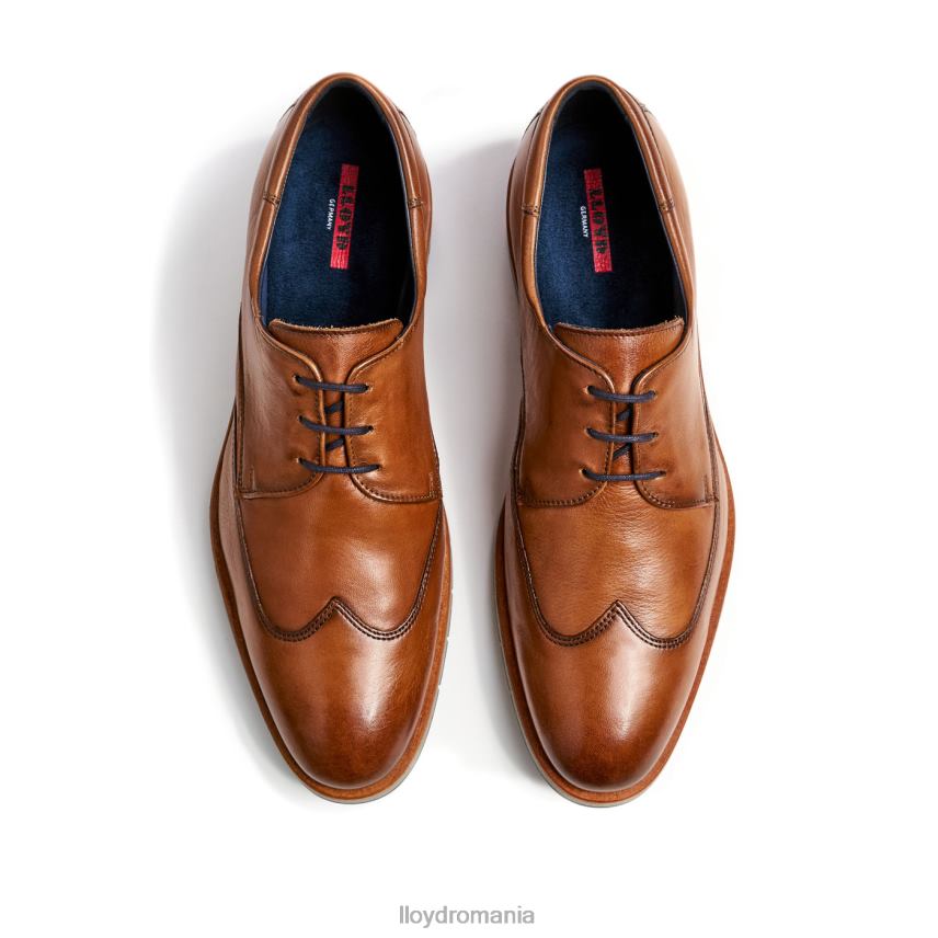 pantofi LLOYD taylor maro bărbați 682601325