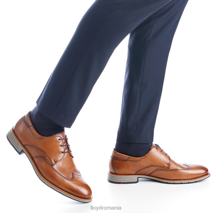 pantofi LLOYD taylor maro bărbați 682601325