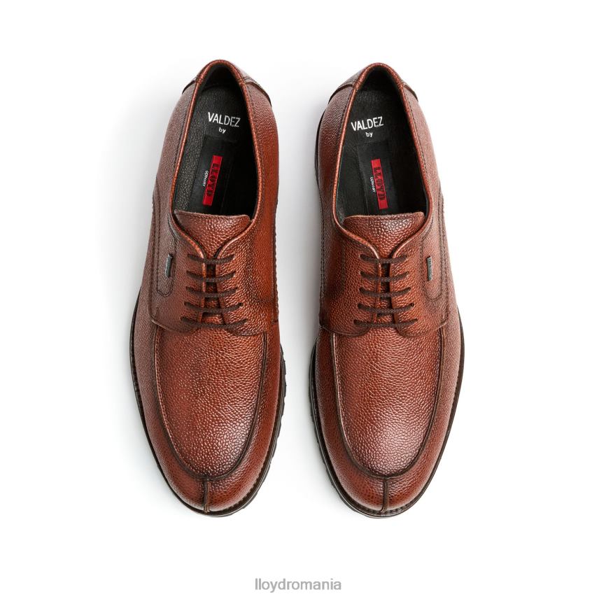 pantofi LLOYD valdez maro bărbați 68260161