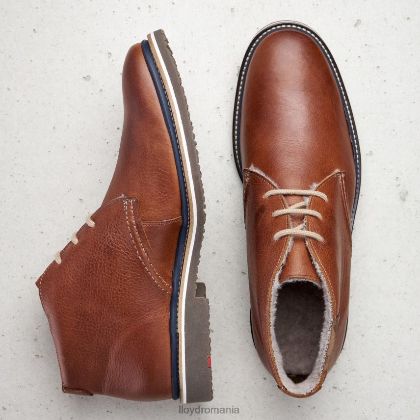 pantofi LLOYD valencia maro bărbați 68260507