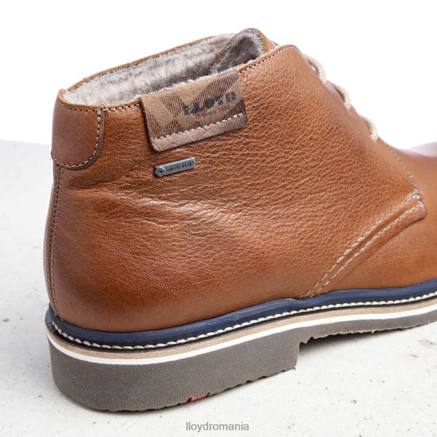 pantofi LLOYD valencia maro bărbați 68260507