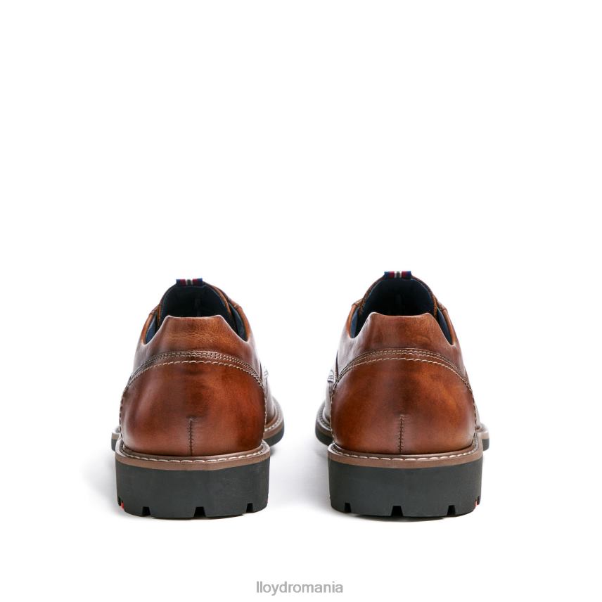 pantofi LLOYD vanja maro bărbați 68260125