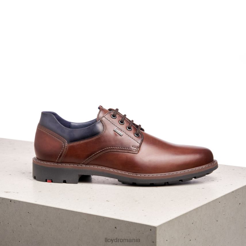 pantofi LLOYD vanja maro bărbați 68260576