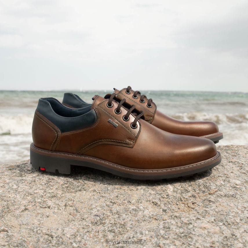 pantofi LLOYD vanja maro bărbați 68260576