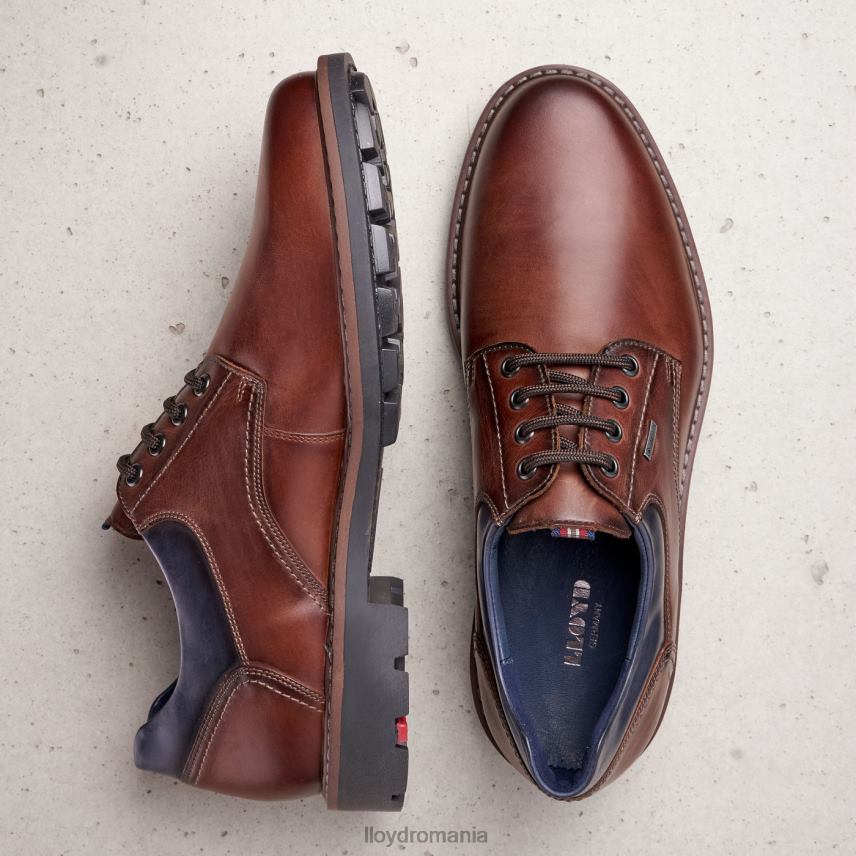 pantofi LLOYD vanja maro bărbați 68260576